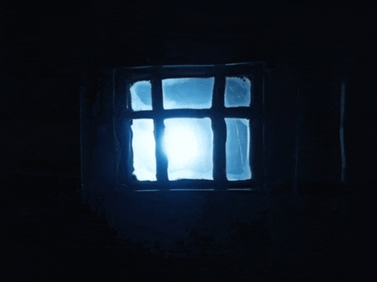 出海,跟着海龟先生寻找宝藏