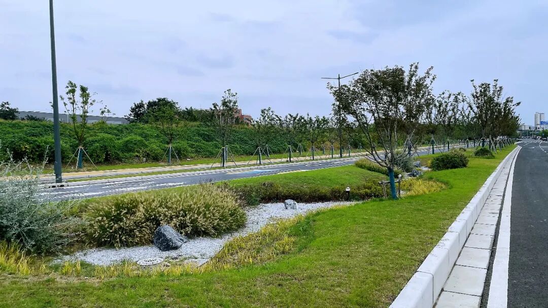 滨湖这条路，通车了！