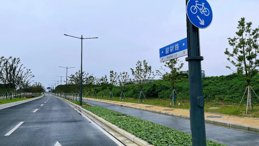 滨湖这条路，通车了！