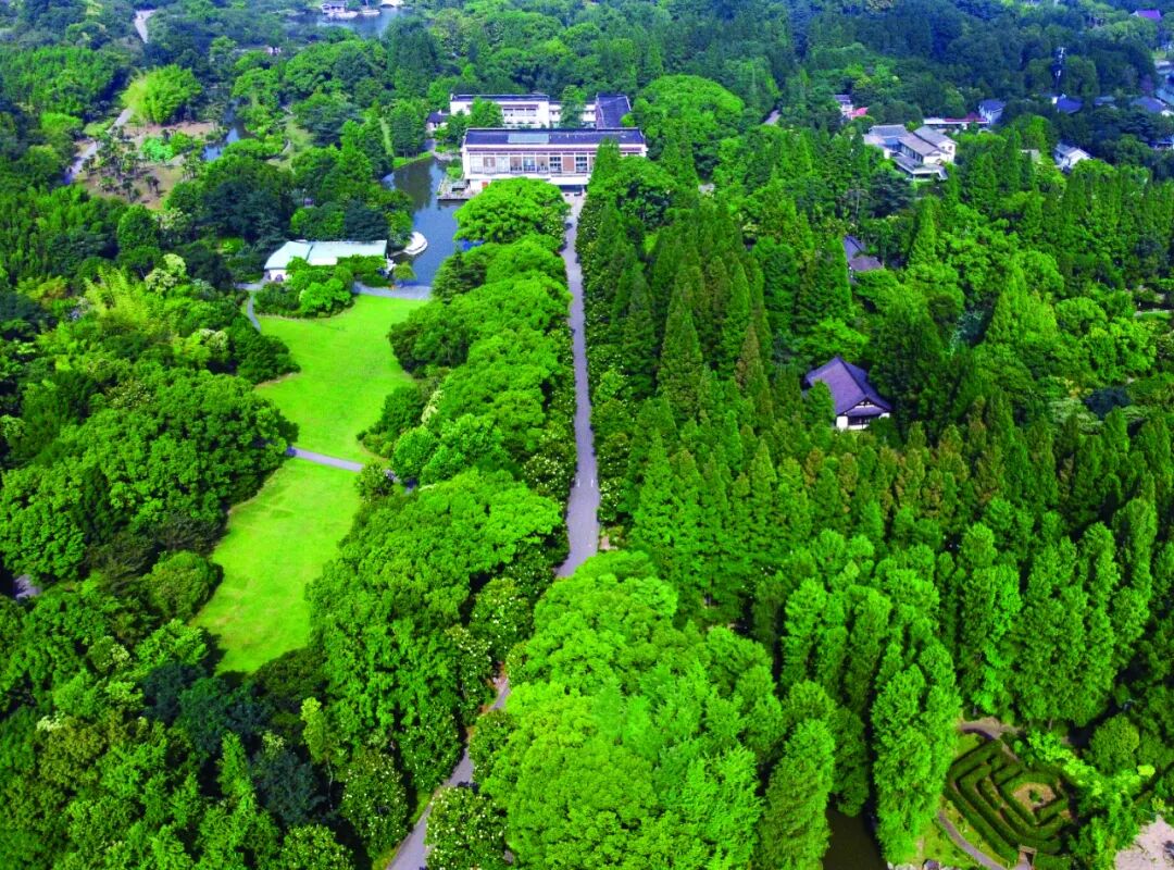 【历久弥新的植物园】草木为邻，自然共生——国家植物园系列开篇