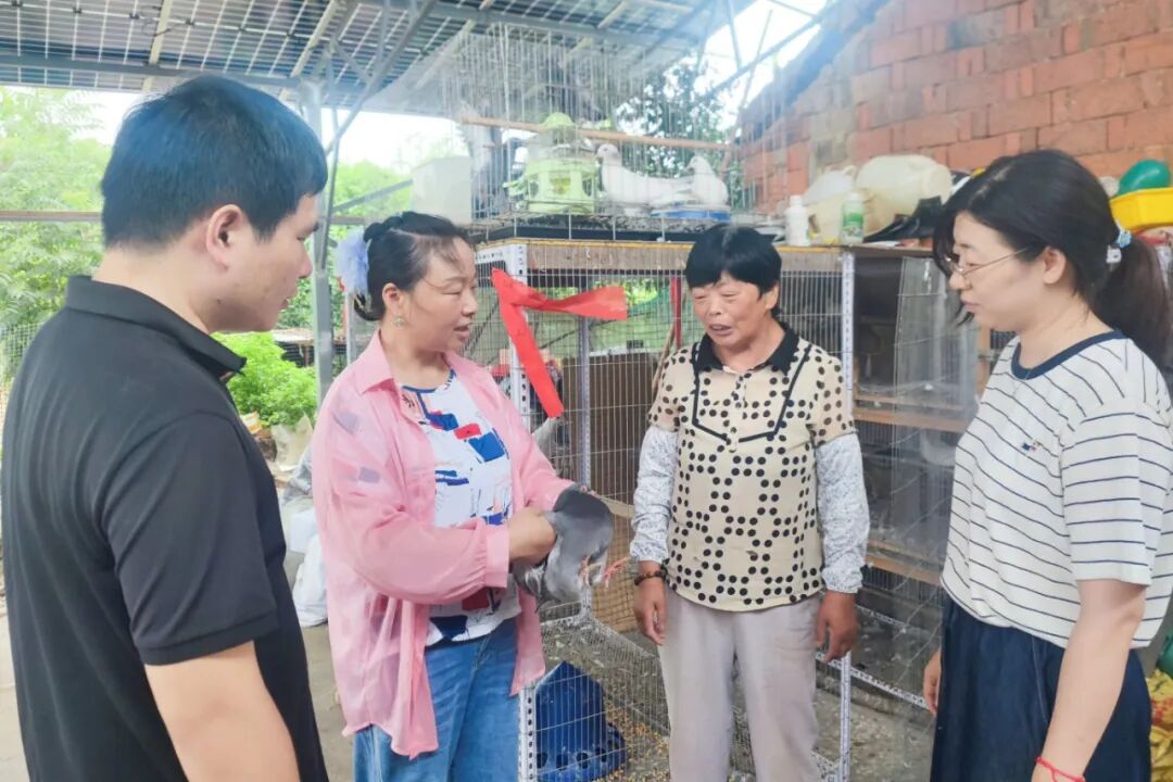 富民答卷写在金陵大地上
