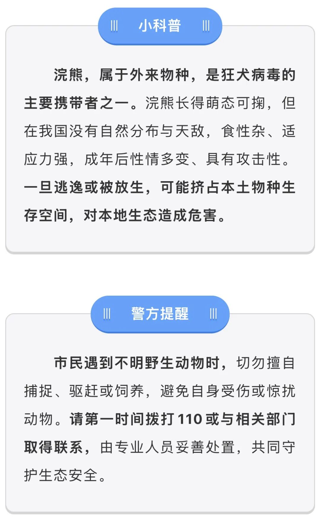 小区河边有小浣熊，抓住了！