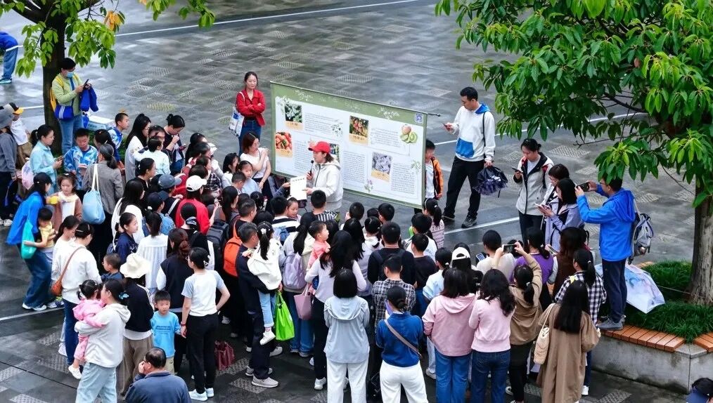 做手环、烤柿挞！伍家岗这场活动太上头→