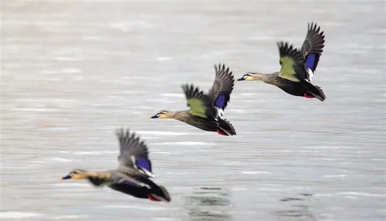 蓝天映大河 青绿满金城 近五年兰州持续推进生态保护绘就宜居新画卷