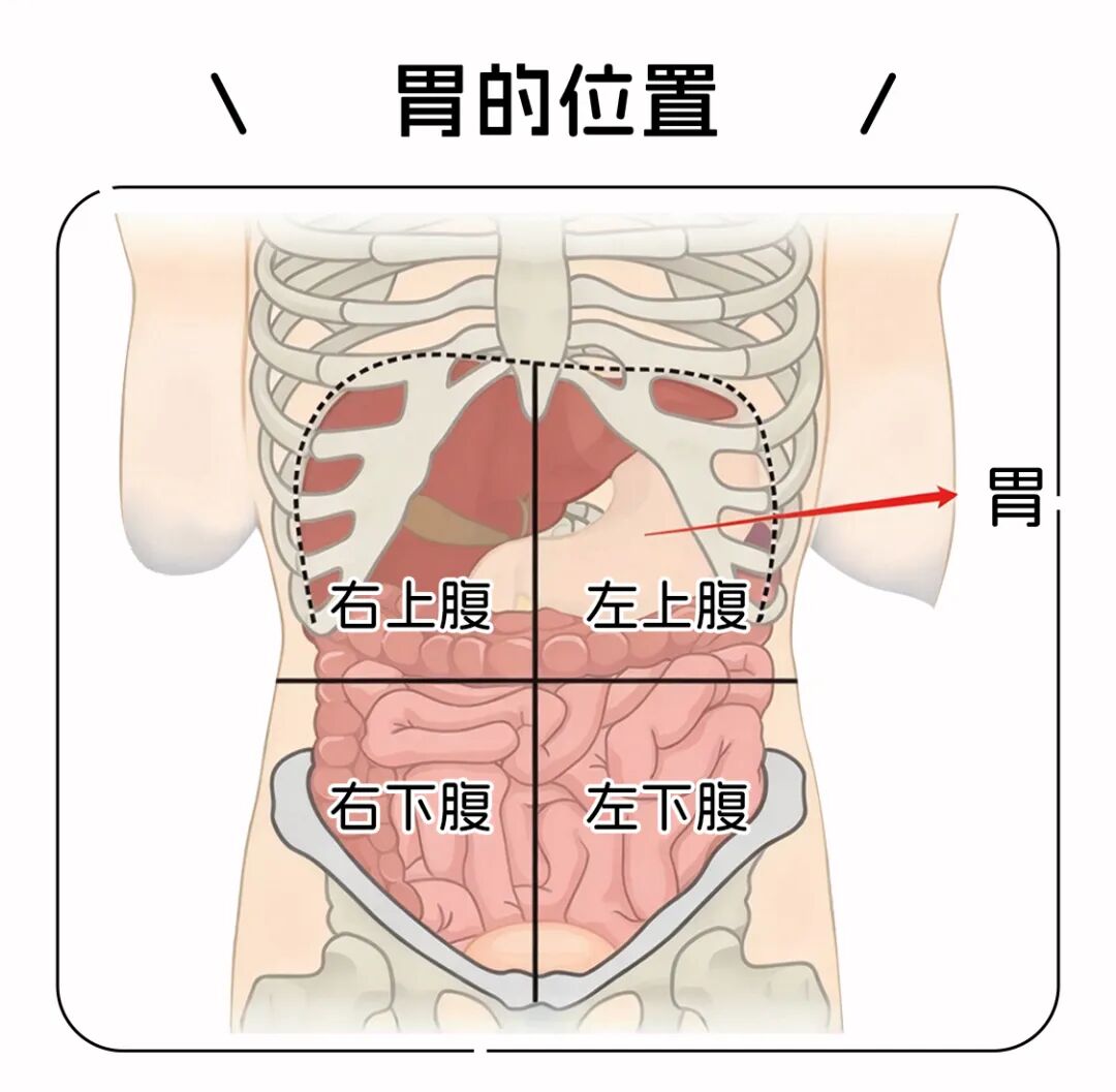 胃癌来临“静悄悄”?饭后这个现象,可能是身体最后的“警告”