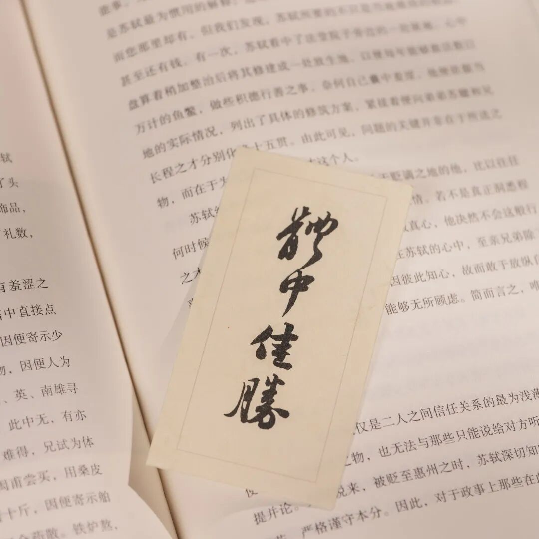 苏东坡的朋友圈,远比我们想象得有意思