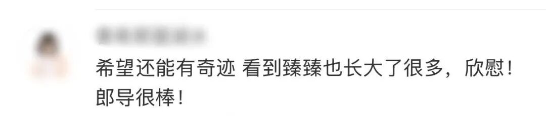 郎平晒照看哭球迷：19年了，她还在等一个奇迹