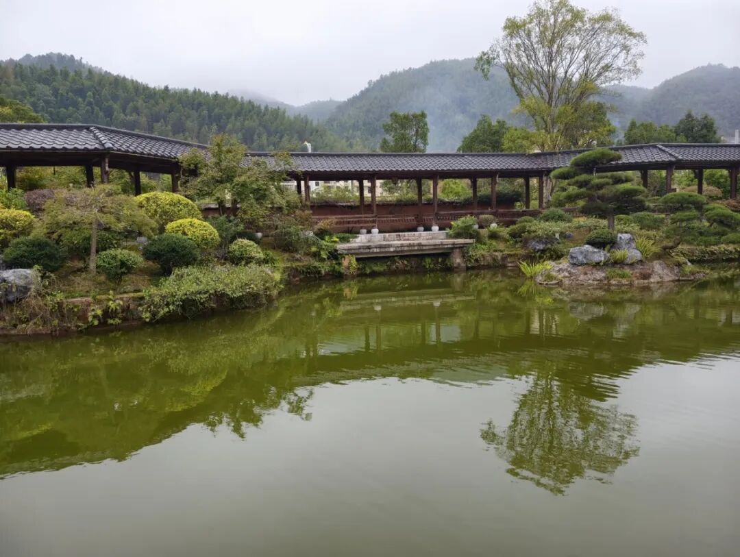 武功山下·美丽庭院 | 第二十期：璞园特色民宿