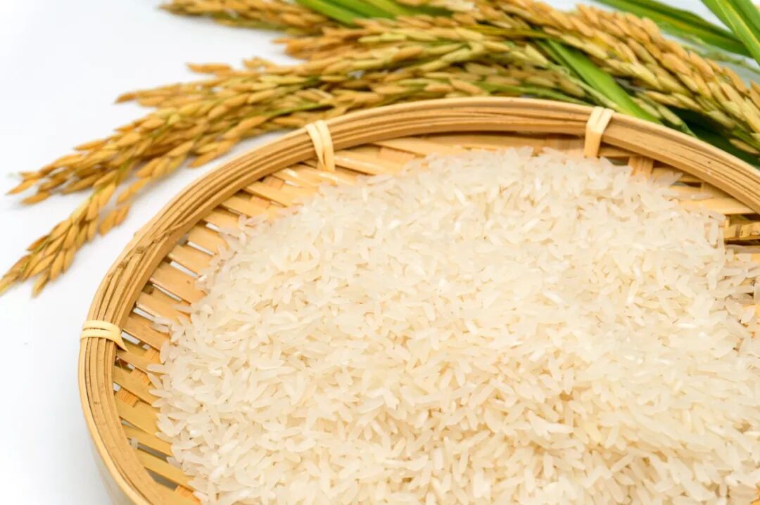 世界粮食日 | 节约粮食，反对浪费，从你我做起！