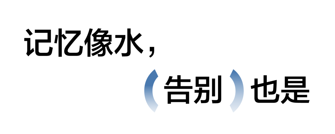 出海,跟着海龟先生寻找宝藏
