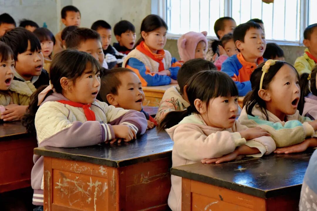 宁蒗法院：送法入乡村 “护苗”又护绿