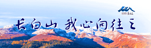 今日长白山（10月20日）