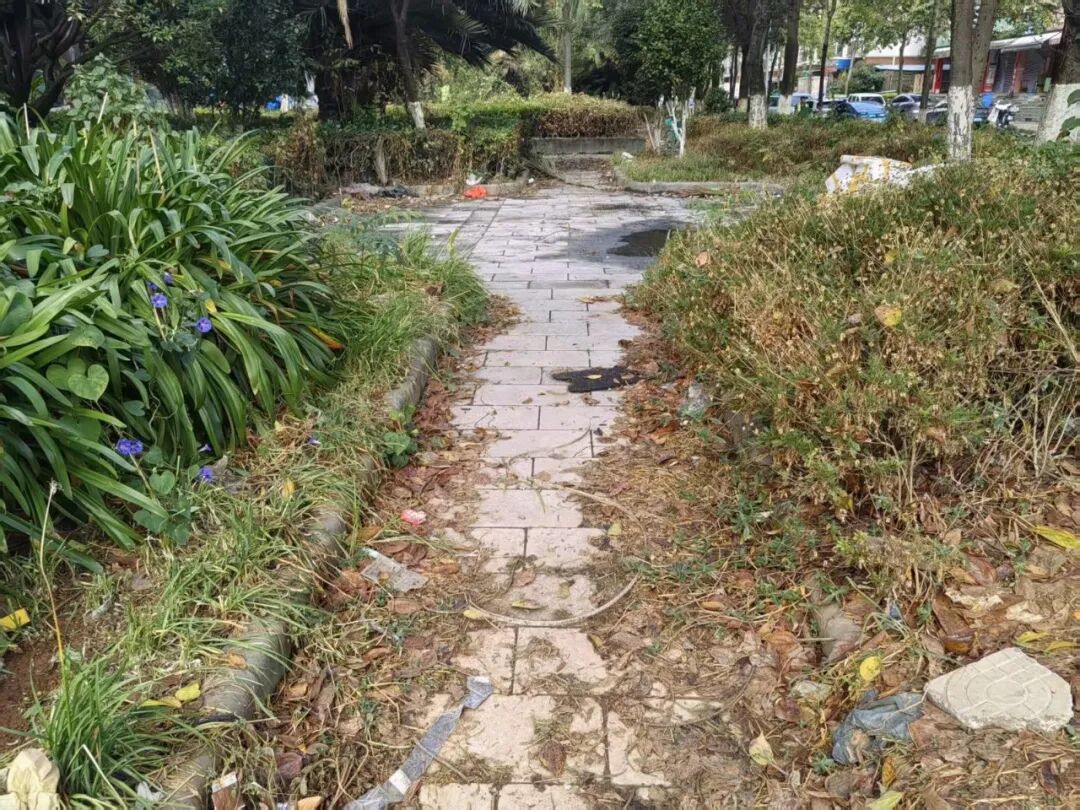 昆明一城市花园被吐槽垃圾遍地，散发刺鼻臭味，已长期无人清扫，社区回应
