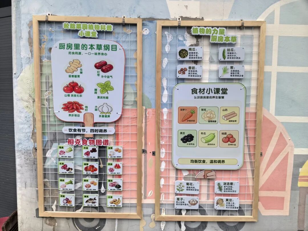 长宁这个“轮胎菜园”，在社区里落地生根～
