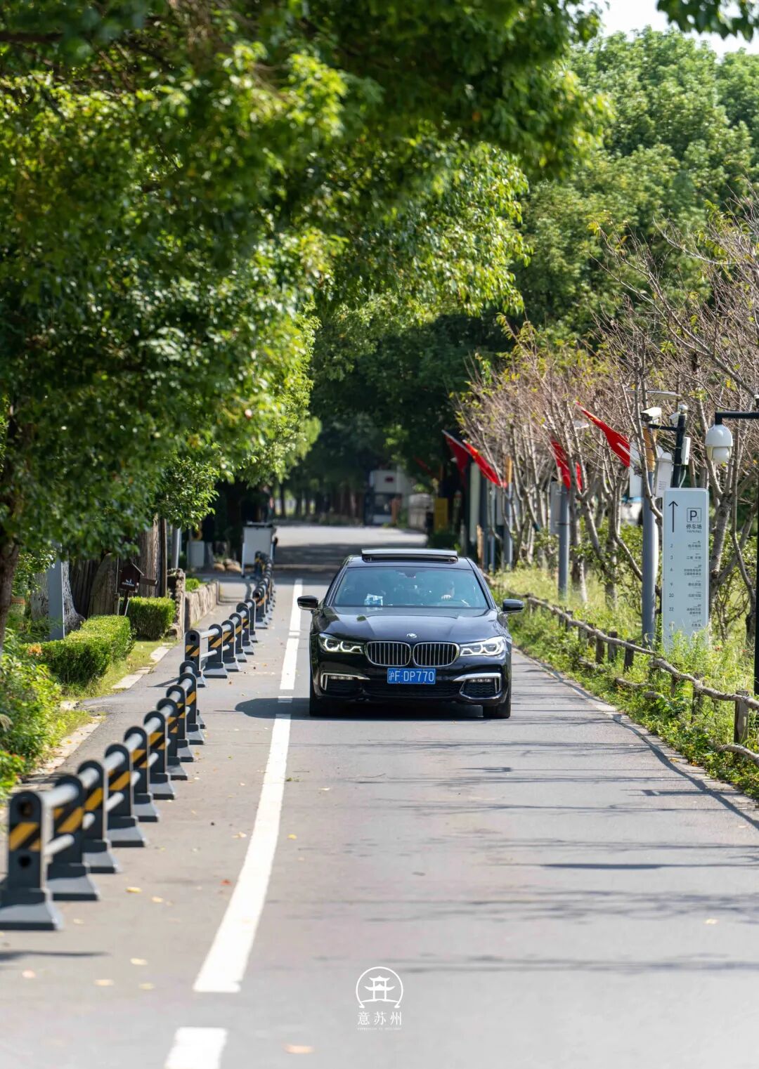 稻田枕水，寻味水乡秋野