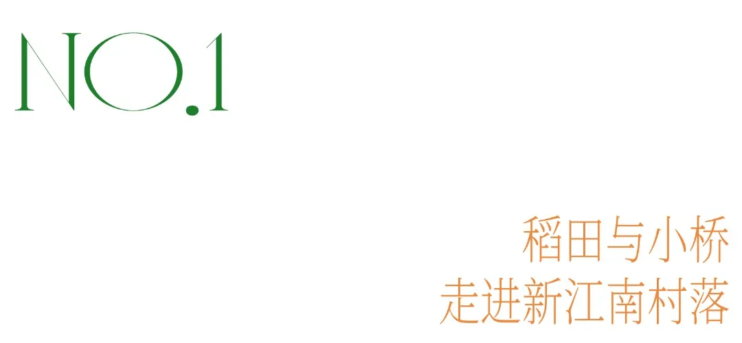 稻田枕水，寻味水乡秋野