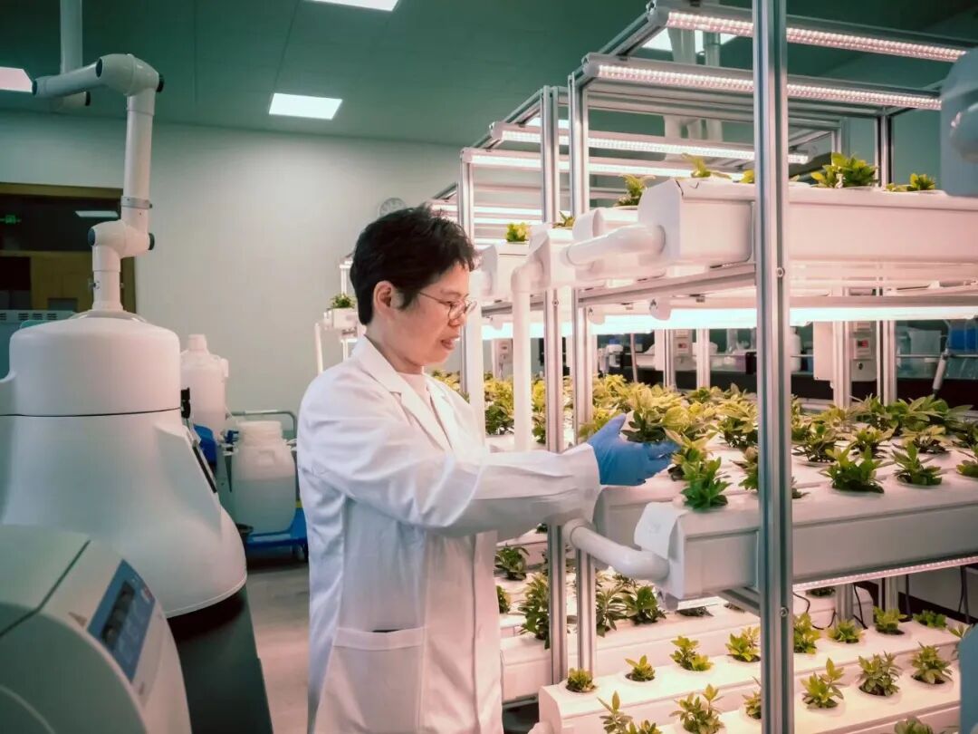 【历久弥新的植物园】草木为邻，自然共生——国家植物园系列开篇