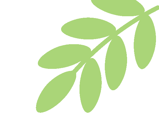 同济大学x千问办公｜用AI重塑管理，等你组队！