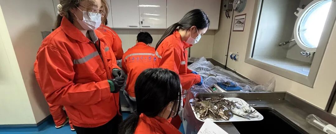 把思政课搬进协商现场——我校在上海政协全过程人民民主实践点开展关于人民民主的思政课