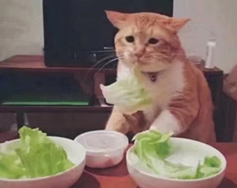转给整天吃青菜的朋友！