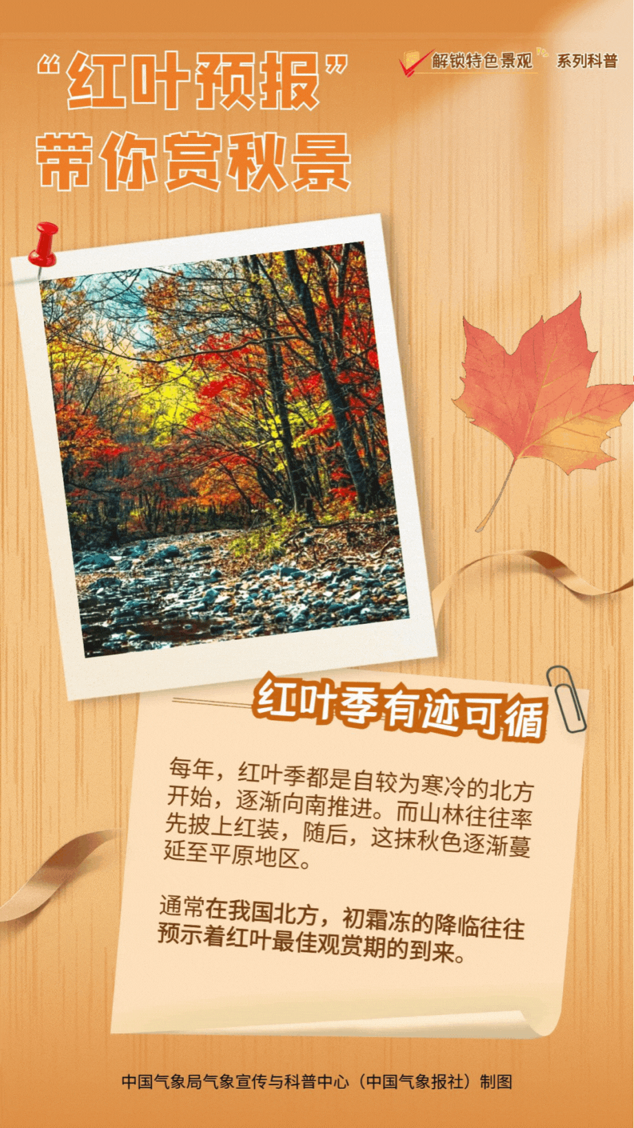 降温了秋叶就变红？没那么简单！