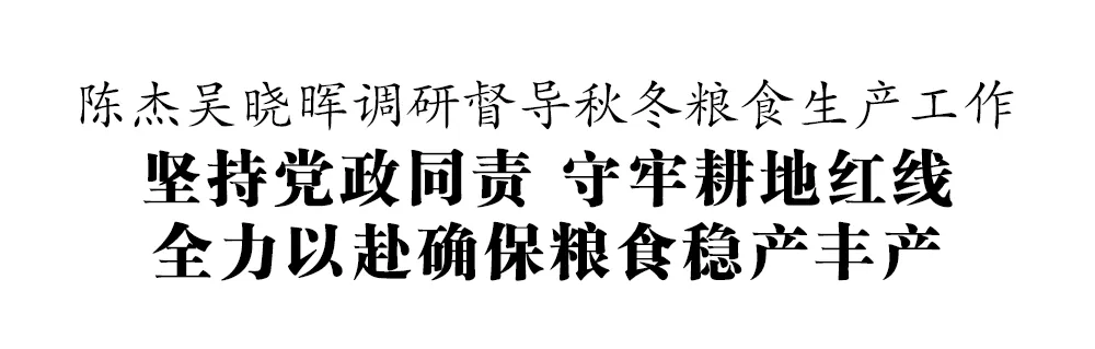 陈杰吴晓晖调研督导秋冬粮食生产工作