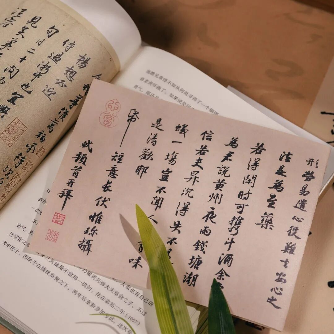 苏东坡的朋友圈,远比我们想象得有意思