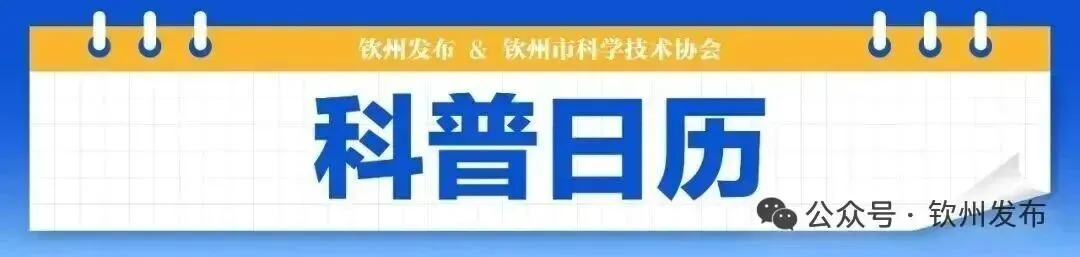 钦州科普日历丨预防骨质疏松症不能只补钙！骨肌同管，避开3个误区