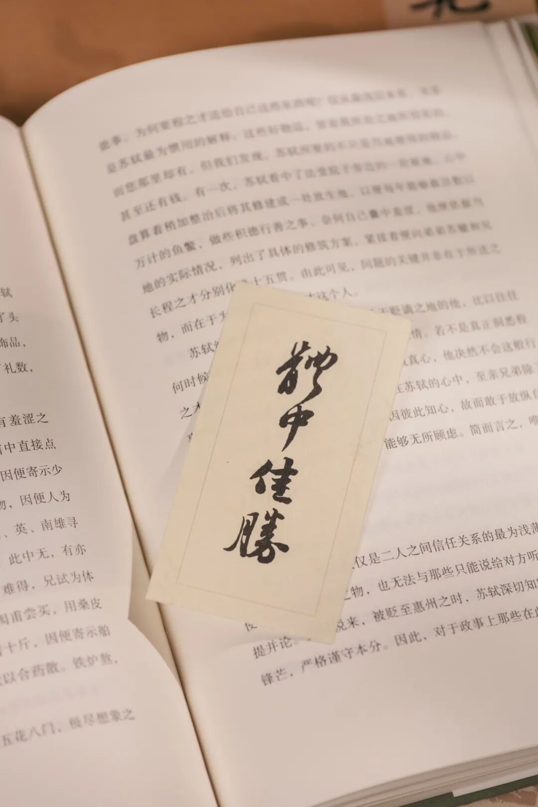 苏东坡的朋友圈,远比我们想象得有意思