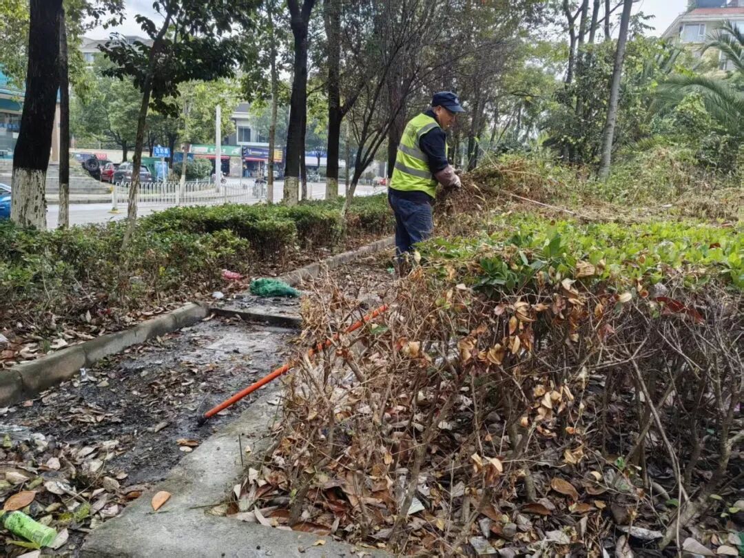 昆明一城市花园被吐槽垃圾遍地，散发刺鼻臭味，已长期无人清扫，社区回应