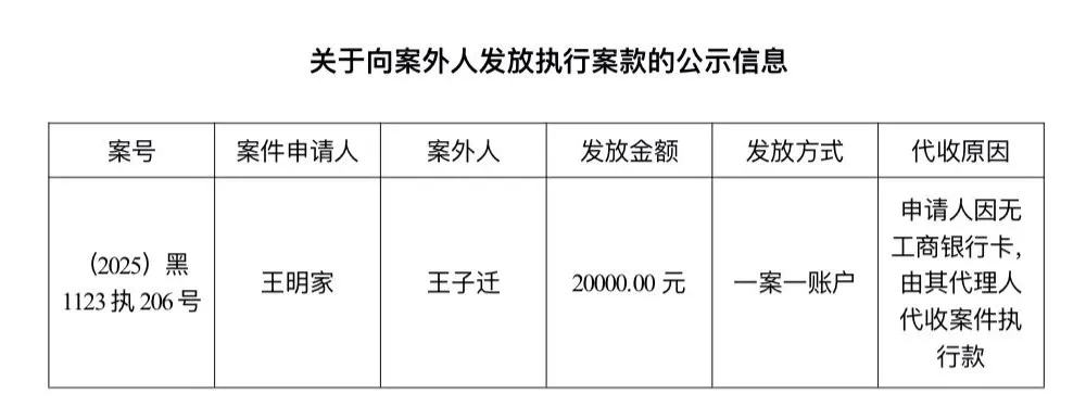逊克县人民法院关于向案外人发放执行案款的公示