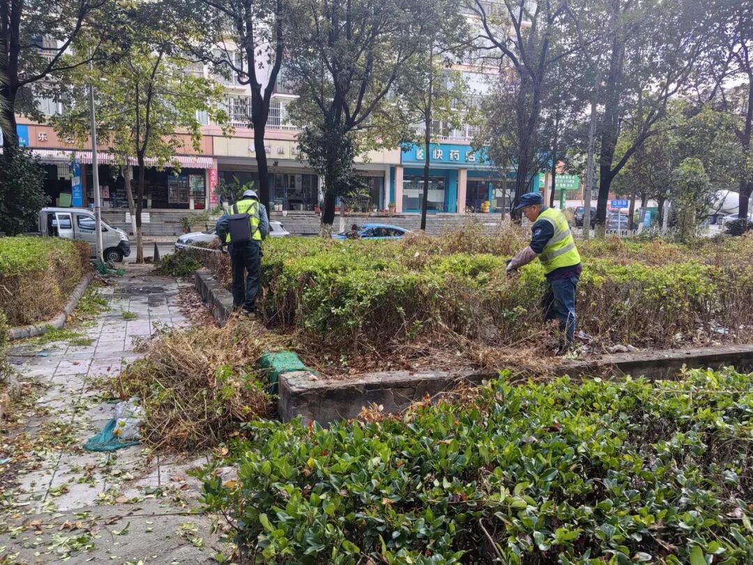 昆明一城市花园被吐槽垃圾遍地，散发刺鼻臭味，已长期无人清扫，社区回应