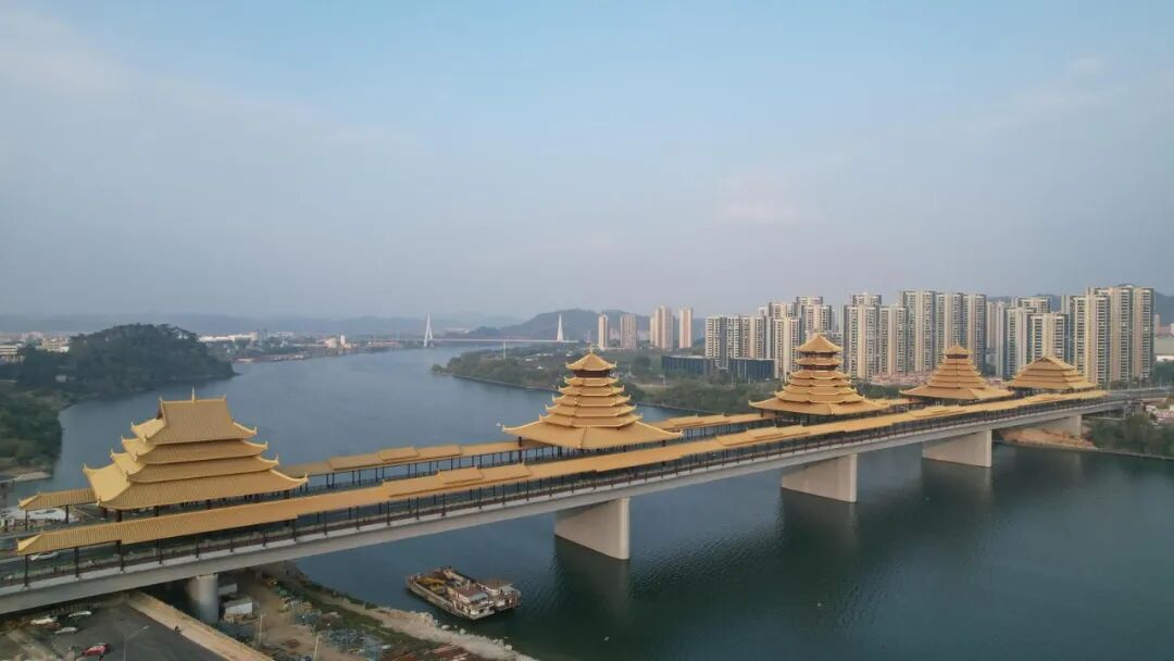 柳州这座“网红桥”，荣获国家级奖项！