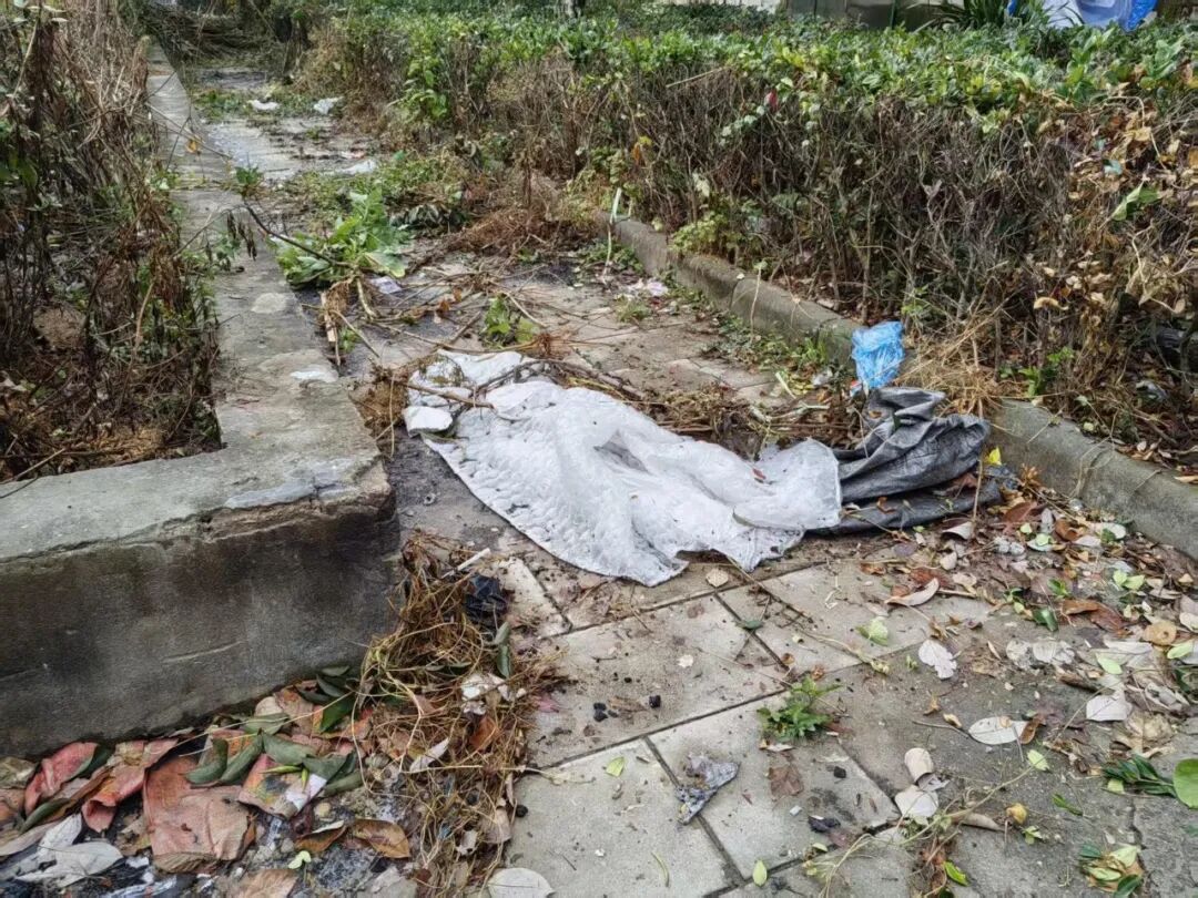 昆明一城市花园被吐槽垃圾遍地，散发刺鼻臭味，已长期无人清扫，社区回应
