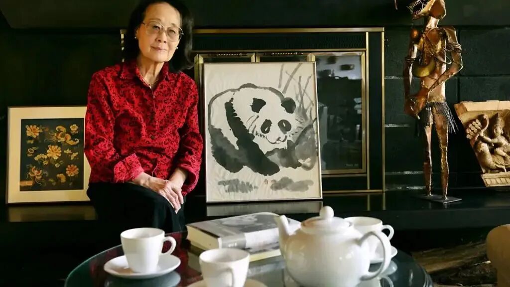 文学跨越壁垒,聂华苓小说《千山外,水长流》中的共情与归途