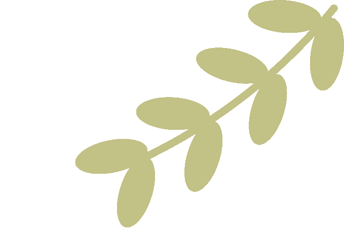 同济大学x千问办公｜用AI重塑管理，等你组队！