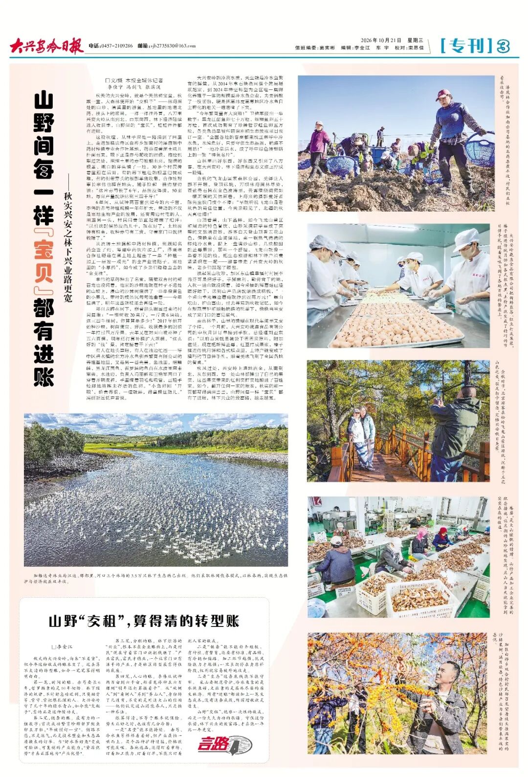 今日看点丨山野间每一样“宝贝”都有进账 ——秋实兴安之林下兴业路更宽