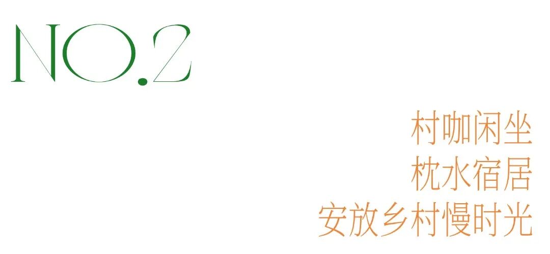 稻田枕水，寻味水乡秋野