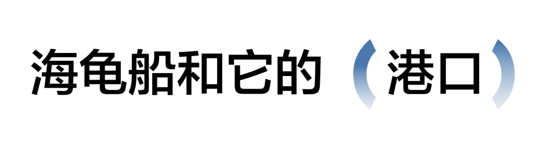 出海,跟着海龟先生寻找宝藏