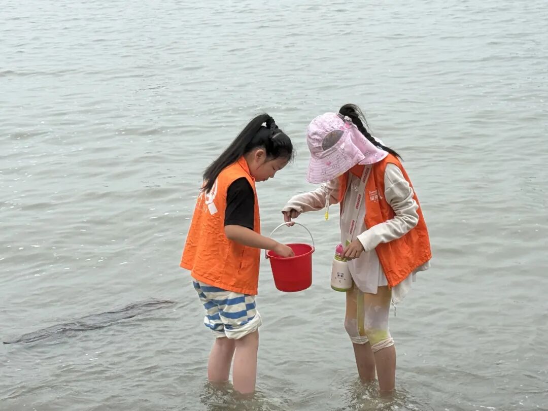 探秘隔海岛，科普向深蓝——“向海而行・隔海探秘”亲子海岛自然探索一日营
