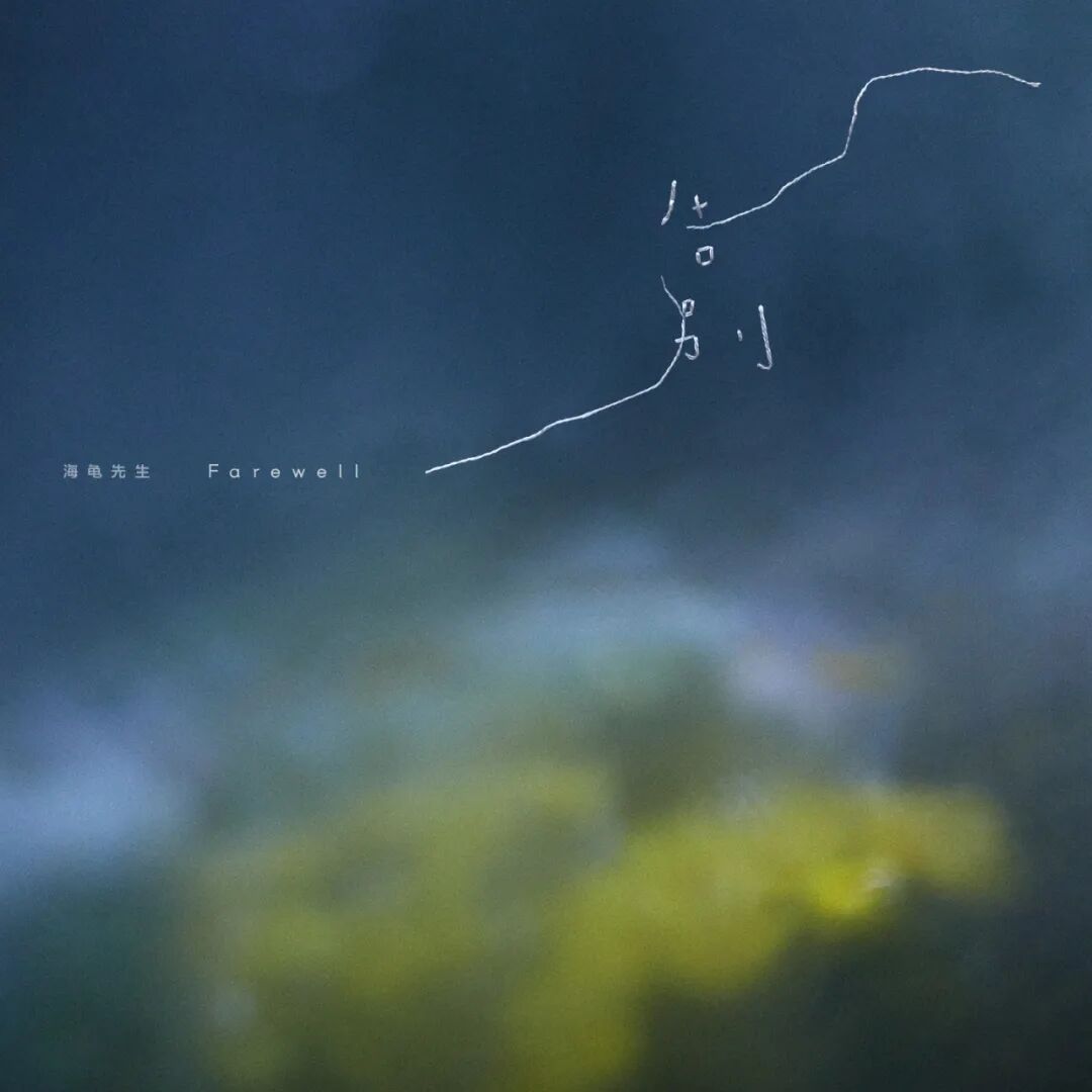 出海,跟着海龟先生寻找宝藏