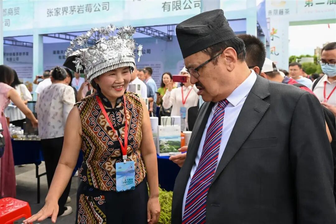 庭院经济 巾帼担当丨7000亩茶园，带动896户增收，“藤茶姐姐”杨艺琼把千年古茶卖向全世界