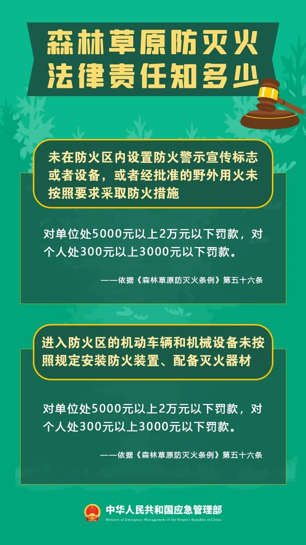 警示！5起森林火灾典型案例