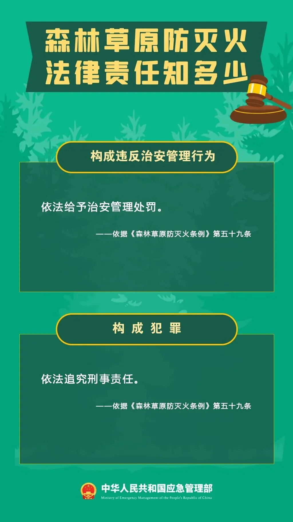 警示！5起森林火灾典型案例