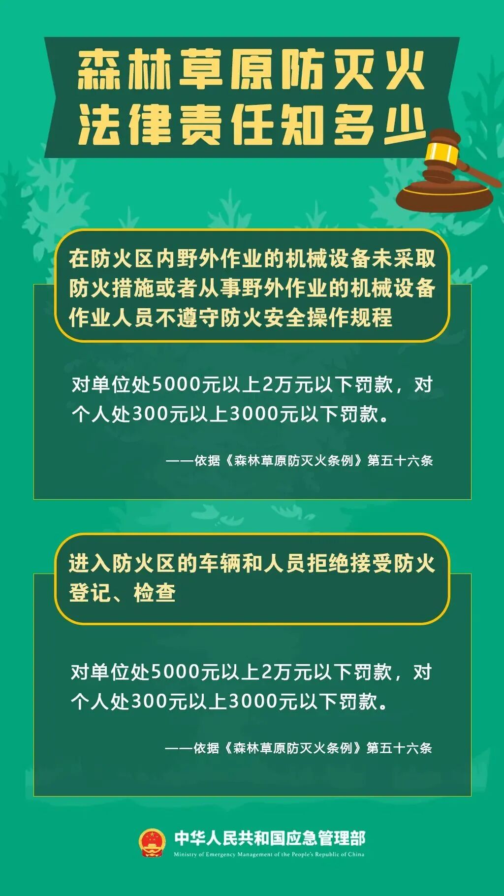 警示！5起森林火灾典型案例