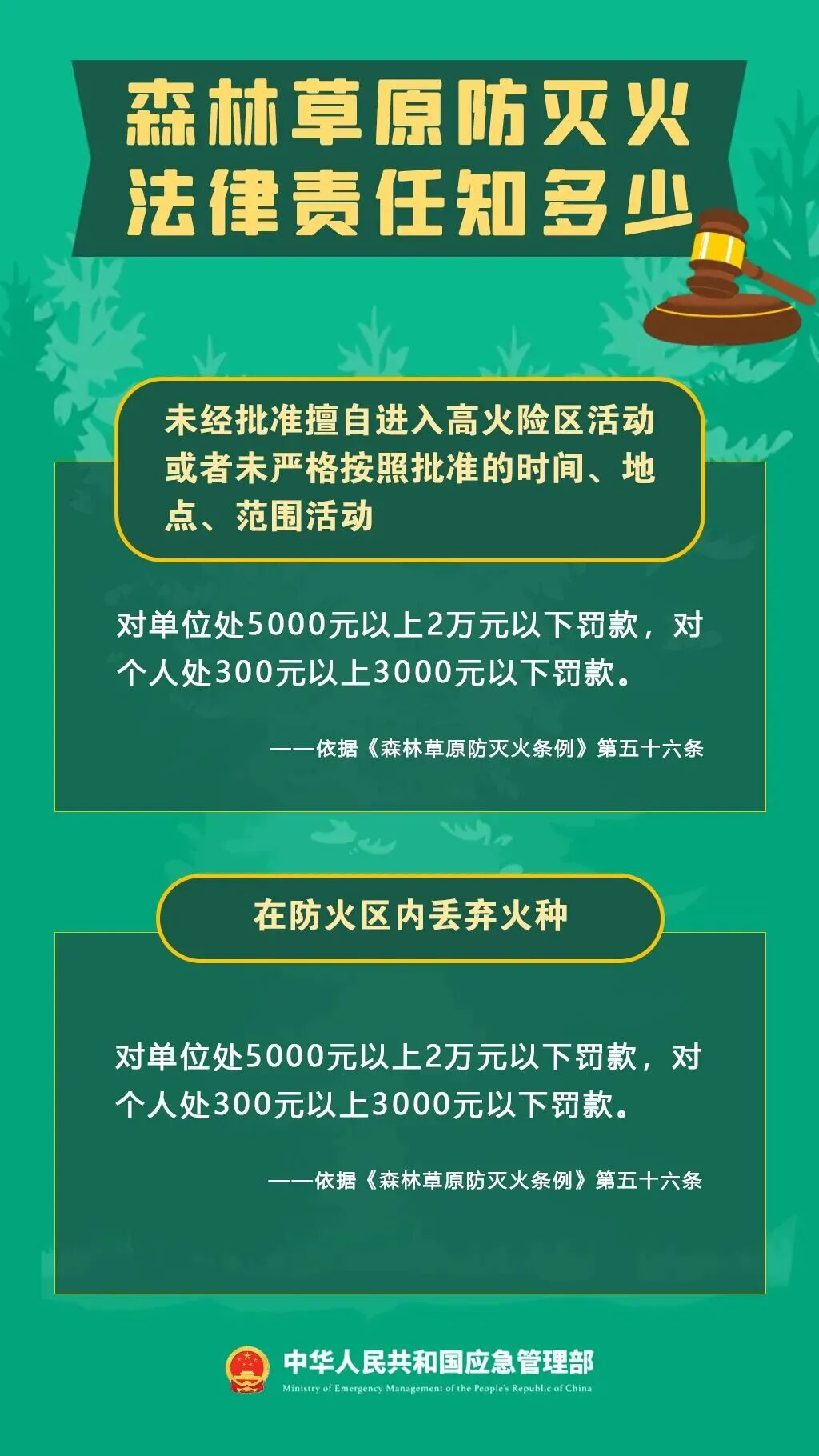 警示！5起森林火灾典型案例