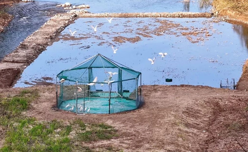 可以穿秋裤了，降雨降温又要来丨泽连斯基：愿在保留75%领土控制权的基础上达成和平协议