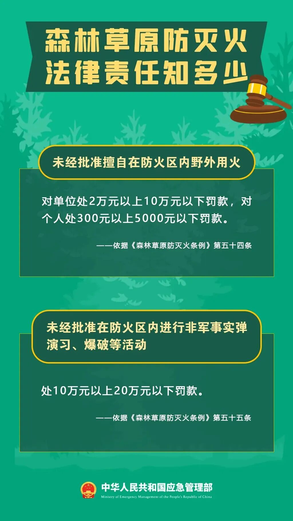 警示！5起森林火灾典型案例