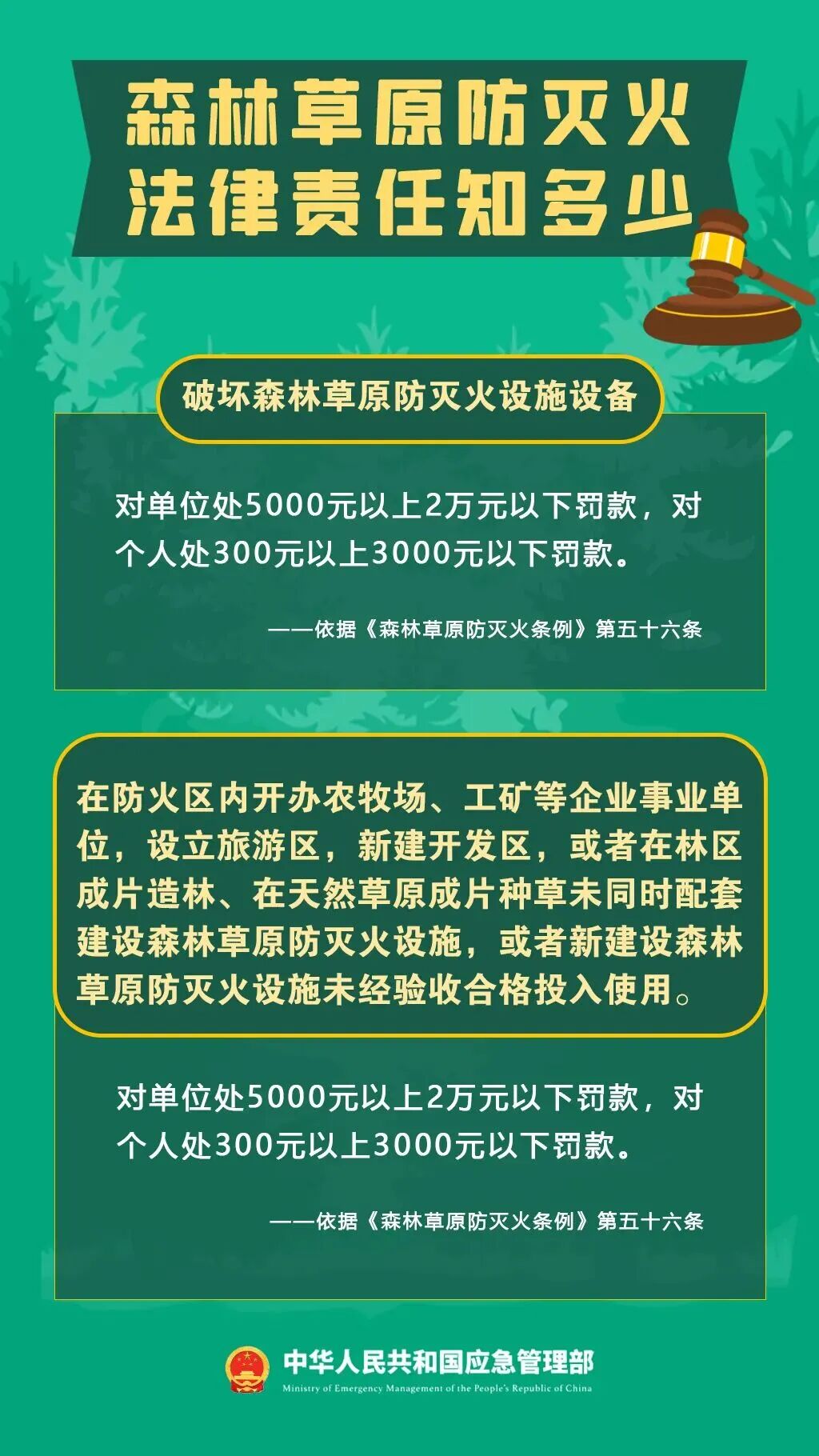 警示！5起森林火灾典型案例