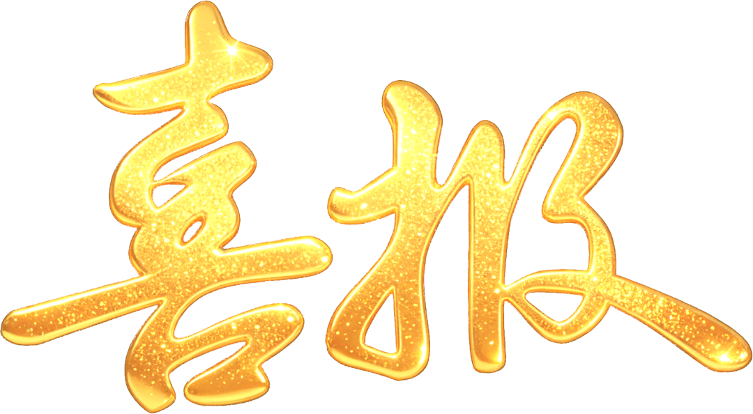 “警”上添花传佳绩——渭源法院法警代表队全市司法警察警务技术比武竞赛中取得优异成绩